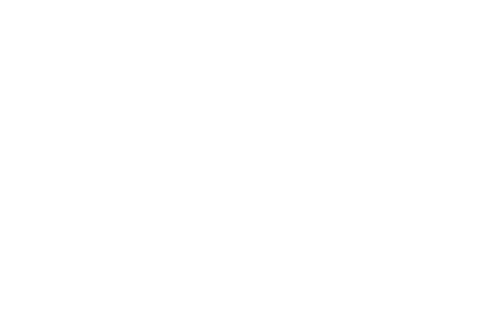 mts automobile logo weiss