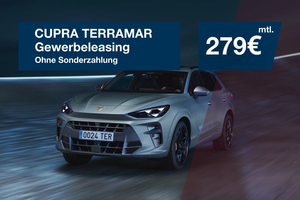 Der Cupra Terramar