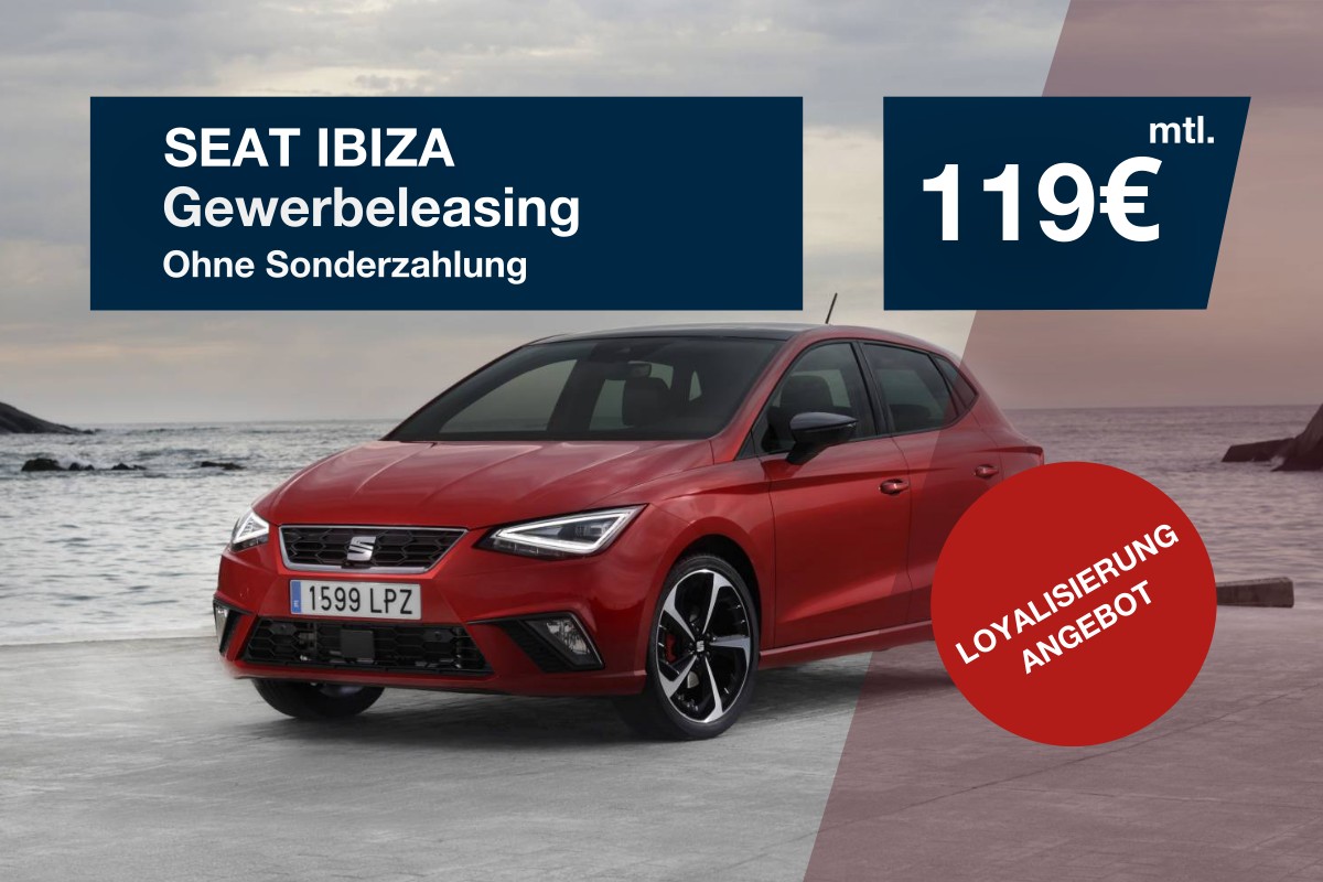 Der Seat Ibiza Benzin