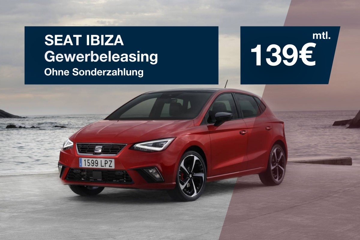 Der Seat Ibiza Benzin