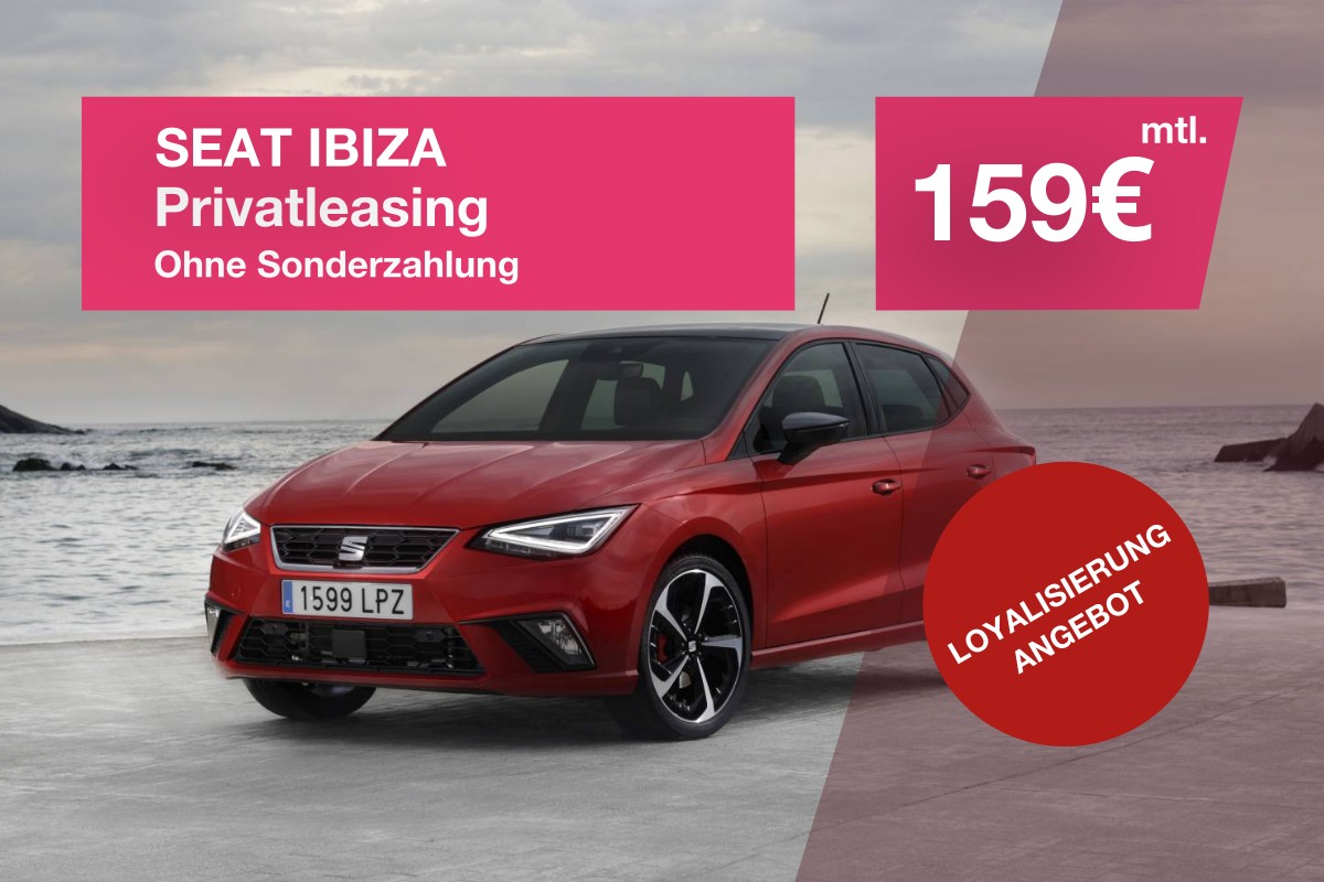 Der Seat Ibiza